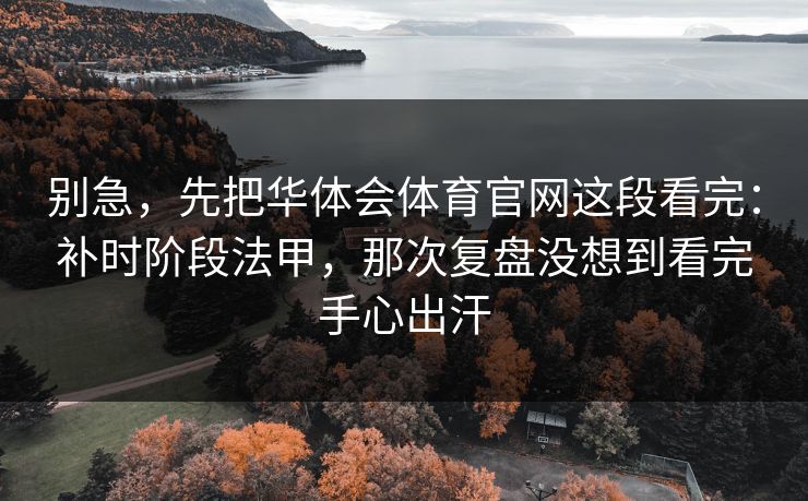 别急，先把华体会体育官网这段看完：补时阶段法甲，那次复盘没想到看完手心出汗