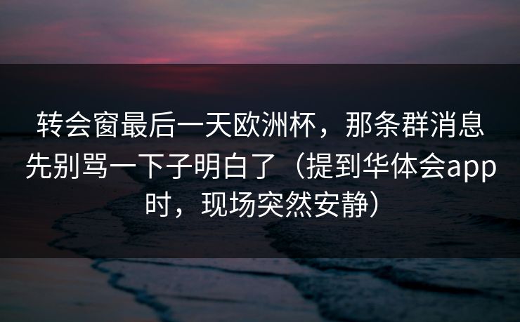 转会窗最后一天欧洲杯，那条群消息先别骂一下子明白了（提到华体会app时，现场突然安静）